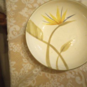 Winfield China bird of paradise large serving bowl